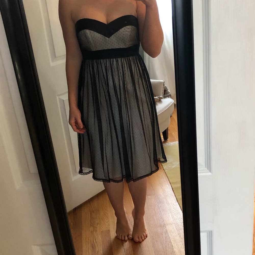Cocktail Dress